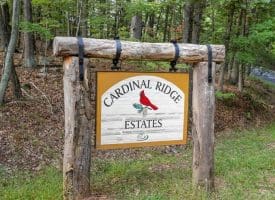 Lots 5 & 13 Cardinal Ridge Estates, Romney, WV 26757