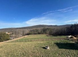 14 River Glen Rd. Paw Paw, WV 25434