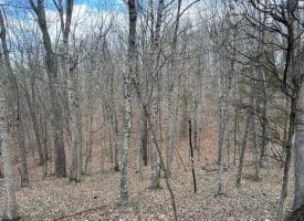 8.86 Ac Middle Ridge Estates, Burlington, WV 26710