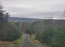 LOT #29 THISTLE RIDGE RD, ROMNEY, WV