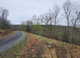 LOT #29 THISTLE RIDGE RD, ROMNEY, WV