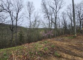 LOT #29 THISTLE RIDGE RD, ROMNEY, WV