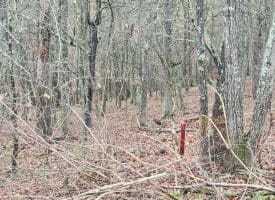LOT #29 THISTLE RIDGE RD, ROMNEY, WV