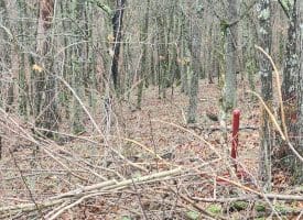 LOT #29 THISTLE RIDGE RD, ROMNEY, WV
