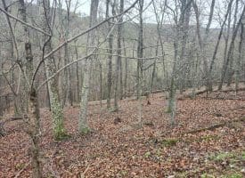 LOT #29 THISTLE RIDGE RD, ROMNEY, WV