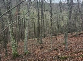 LOT #29 THISTLE RIDGE RD, ROMNEY, WV