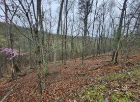 LOT #29 THISTLE RIDGE RD, ROMNEY, WV