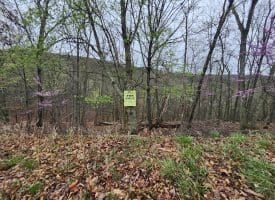 LOT #29 THISTLE RIDGE RD, ROMNEY, WV
