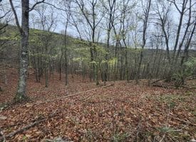 LOT #29 THISTLE RIDGE RD, ROMNEY, WV