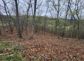 LOT #29 THISTLE RIDGE RD, ROMNEY, WV