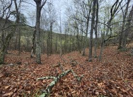 LOT #29 THISTLE RIDGE RD, ROMNEY, WV