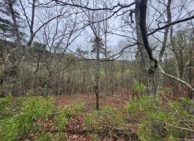 LOT #29 THISTLE RIDGE RD, ROMNEY, WV