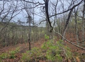 LOT #29 THISTLE RIDGE RD, ROMNEY, WV