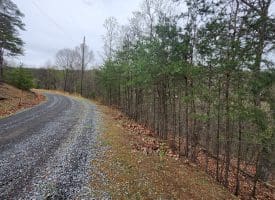 LOT #29 THISTLE RIDGE RD, ROMNEY, WV