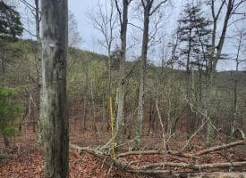 LOT #29 THISTLE RIDGE RD, ROMNEY, WV
