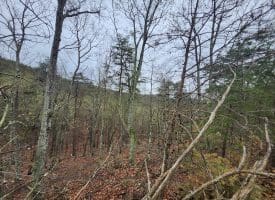 LOT #29 THISTLE RIDGE RD, ROMNEY, WV