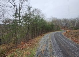 LOT #29 THISTLE RIDGE RD, ROMNEY, WV