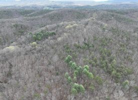 8.86 Ac Middle Ridge Estates, Burlington, WV 26710