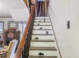 149 W Birch Ln, Romney, WV 26757