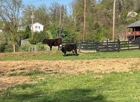 7330 Bloomery Pike, Paw Paw, WV 25434