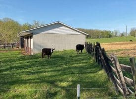 7330 Bloomery Pike, Paw Paw, WV 25434