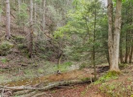 921 W Barnes Mill Dr, Romney, WV 26757