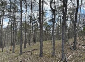 8.86 Ac Middle Ridge Estates, Burlington, WV 26710