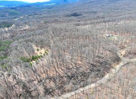 29.72 Ac Pauls Woods Rd, Delray, WV 26714