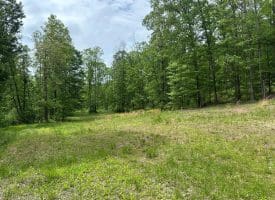 389.2 Acres Woodmont Rd, Great Cacapon, WV 25422