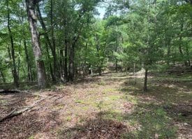 2.23 Ac Doe Trl, Springfield, WV 26763