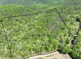 13.06 Ac Pine Trail Dr, Moorefield, WV 26836