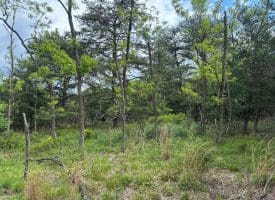 Lot 154 Rm Washington Dr, Springfield, WV 26763