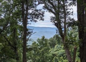 Lot 1 Island Ridge Rd, Purgitsville, WV 26852