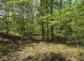 13.06 Ac Pine Trail Dr, Moorefield, WV 26836