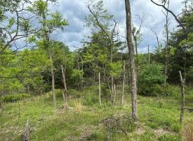 Lot 154 Rm Washington Dr, Springfield, WV 26763