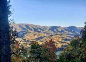Lot 1 Island Ridge Rd, Purgitsville, WV 26852