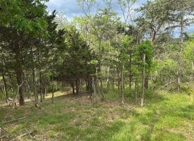 Lot 154 Rm Washington Dr, Springfield, WV 26763