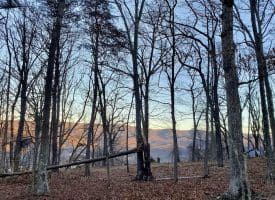 Lot 1 Island Ridge Rd, Purgitsville, WV 26852
