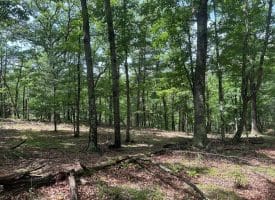 2.23 Ac Doe Trl, Springfield, WV 26763