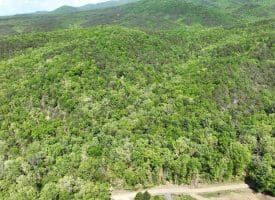 13.06 Ac Pine Trail Dr, Moorefield, WV 26836