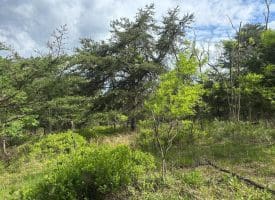 Lot 154 Rm Washington Dr, Springfield, WV 26763