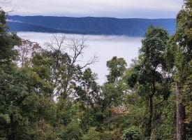 Lot 1 Island Ridge Rd, Purgitsville, WV 26852