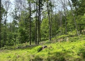 389.2 Acres Woodmont Rd, Great Cacapon, WV 25422