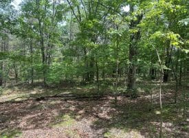 2.23 Ac Doe Trl, Springfield, WV 26763