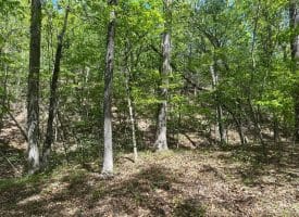13.06 Ac Pine Trail Dr, Moorefield, WV 26836