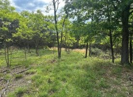 Lot 154 Rm Washington Dr, Springfield, WV 26763