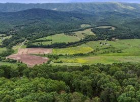 Lot 1 Island Ridge Rd, Purgitsville, WV 26852