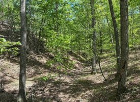 13.06 Ac Pine Trail Dr, Moorefield, WV 26836