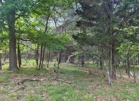 Lot 154 Rm Washington Dr, Springfield, WV 26763