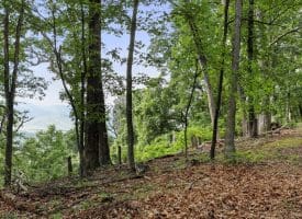 Lot 1 Island Ridge Rd, Purgitsville, WV 26852